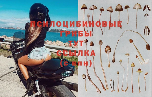 mdpv Беломорск
