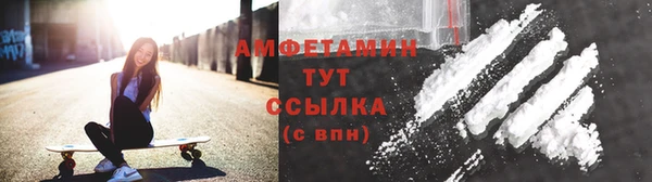 соль ск Ельня