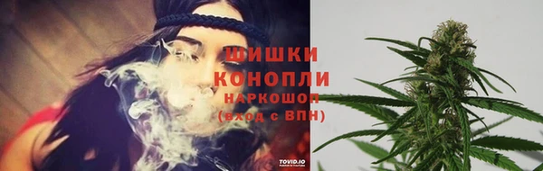a pvp Белокуриха