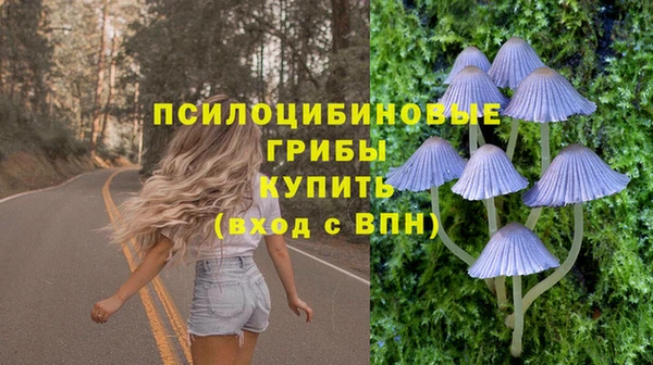 a pvp Белокуриха