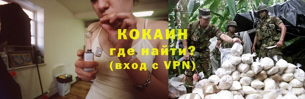 a pvp Белокуриха