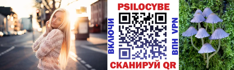 Псилоцибиновые грибы прущие грибы  Котово 
